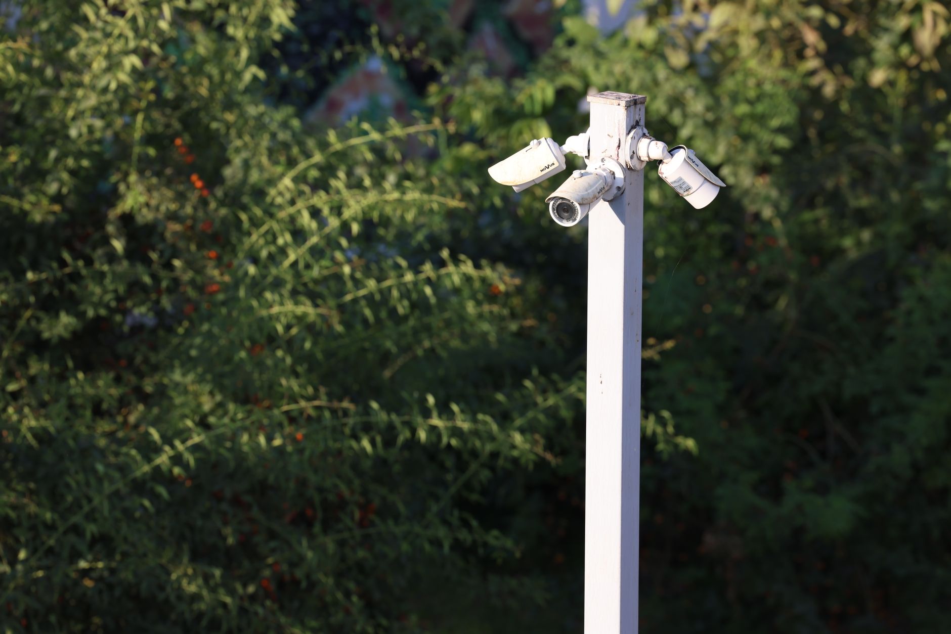 AI-enabled smart lamp-posts stand in a British public space as concerns grow over cameras, facial recognition and personal-data collection.