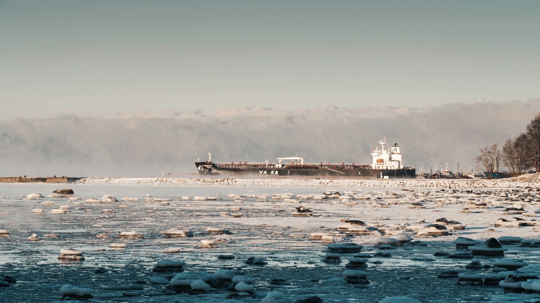 A refrigerated seafood vessel carrying frozen fish waits near a European port while digital import documentation is reviewed.