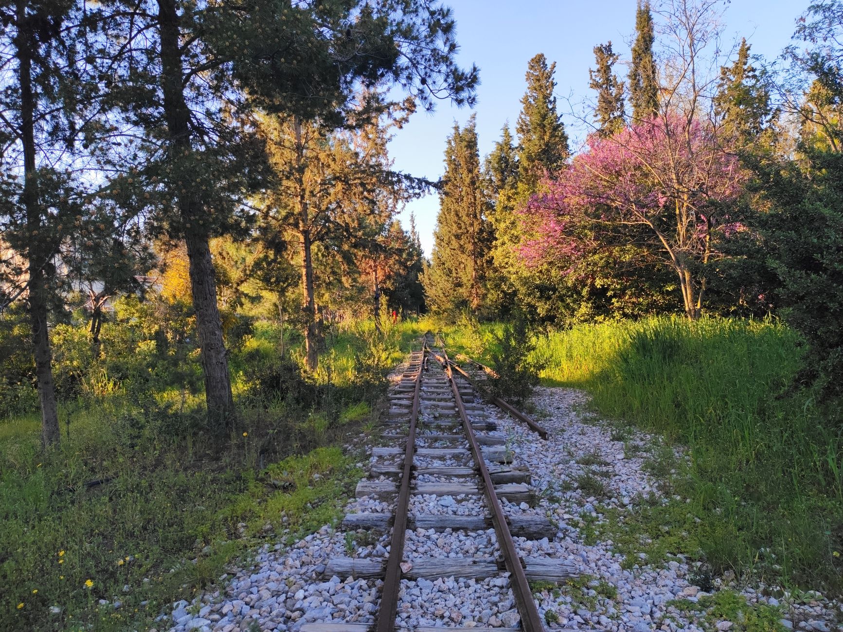 Railway personnel inspect Dutch train tracks after suspected sabotage caused widespread rush-hour disruption.
